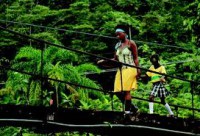 /album/fupropcolombia/images-3-jpg/